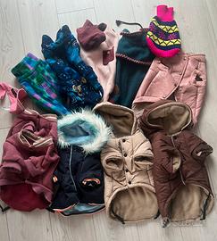 Cappottini cani stock 11 pezzi