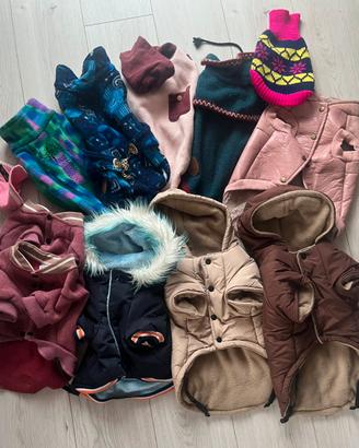 Cappottini cani stock 11 pezzi
