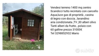 terreno