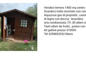 terreno