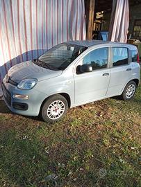Fiat Panda 1.2 benzina 2020