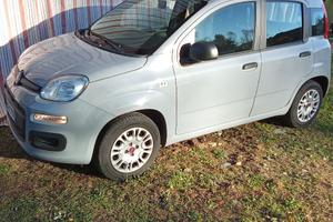 Fiat Panda 1.2 benzina 2020