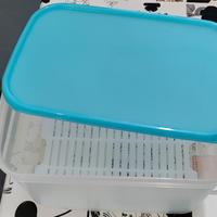 Tupperware 