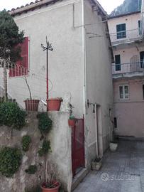 Casa unifamiliare 60mq+giardino 50mq e scantinato