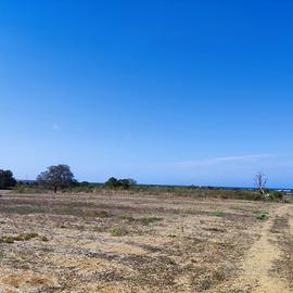 Terreno Agricolo Alezio [Cod. rif 3336871VCG]