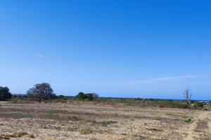 Terreno Agricolo Alezio [Cod. rif 3336871VCG]