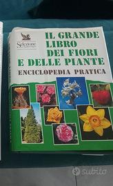 Enciclopedia dei fiori e delle piante