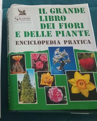 Enciclopedia dei fiori e delle piante