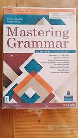 Libro scolastico USATO "Mastering Grammar"