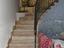 Immagine 11