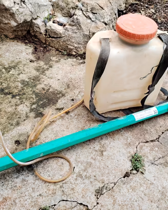 Pompa a zaino elettrica