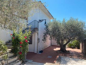Graziosa villa bifamiliare vicinissima alla citta