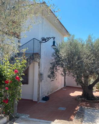 Graziosa villa bifamiliare vicinissima alla citta