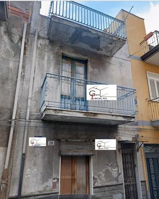 Terratetto paterno'