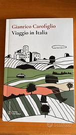libro  VIAGGIO IN ITALIA