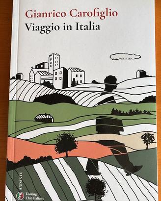 libro  VIAGGIO IN ITALIA