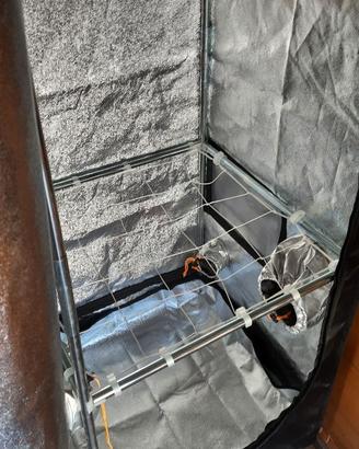 Growbox + Lampada e vaso