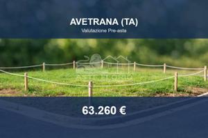 Immobile in asta di 5788 m² a Avetrana