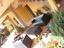 Immagine 3