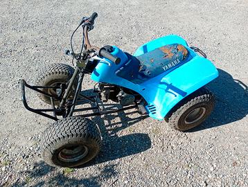 Quad yamaha
