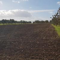 Azienda Agricola