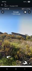 Terreno agricolo 7000 mt con ulivi