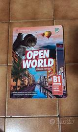 Superiori- Open World libro di inglese