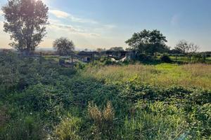 terreno agricolo di 1000 mq