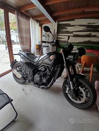 Benelli Leoncino 500