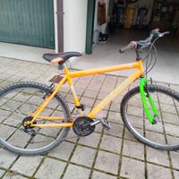 Mountain bike