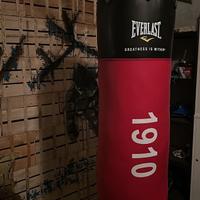 Sacco da box everlast 1910 edizione speciale