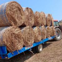 Fieno rotoballe 2025