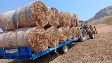 Fieno rotoballe 2025