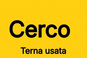 Terna di seconda mano