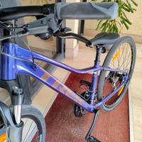 Bici Ibrida Trek