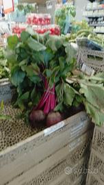 Tutti i miei annunci