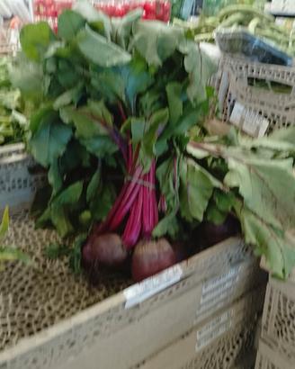 Tutti i miei annunci