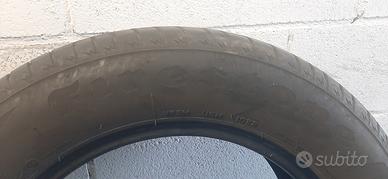 Firestone estive