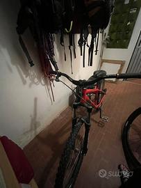 Bici monomarcia