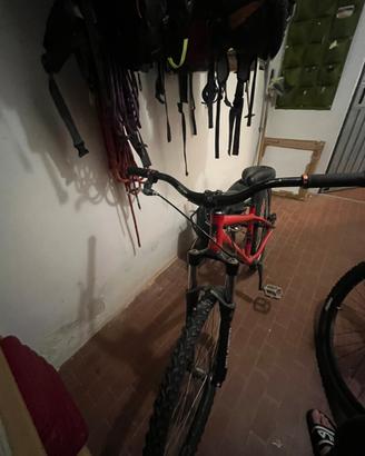 Bici monomarcia