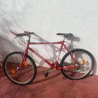Bicicletta Bianchi mountain bike