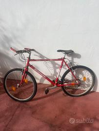 Bicicletta Bianchi mountain bike