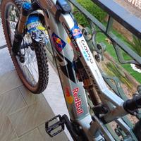  ebike raymon 160.11