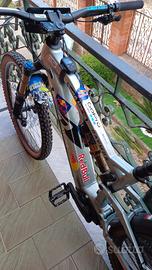  ebike raymon 160.11
