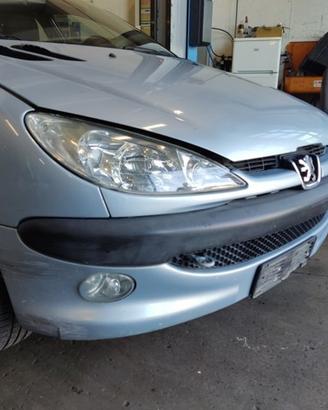 Paraurti anteriore PEUGEOT 206 del 2004