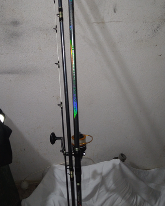 Canna da pesca a surfcasting