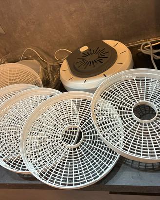 Essiccatore per alimenti Silvercast