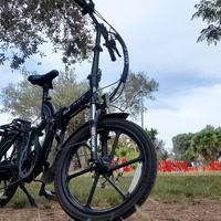 bici elettrica Miele 