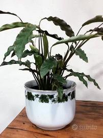 Portavaso porcellana Triptis Eschenbach