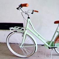 bicicletta Olanda 26